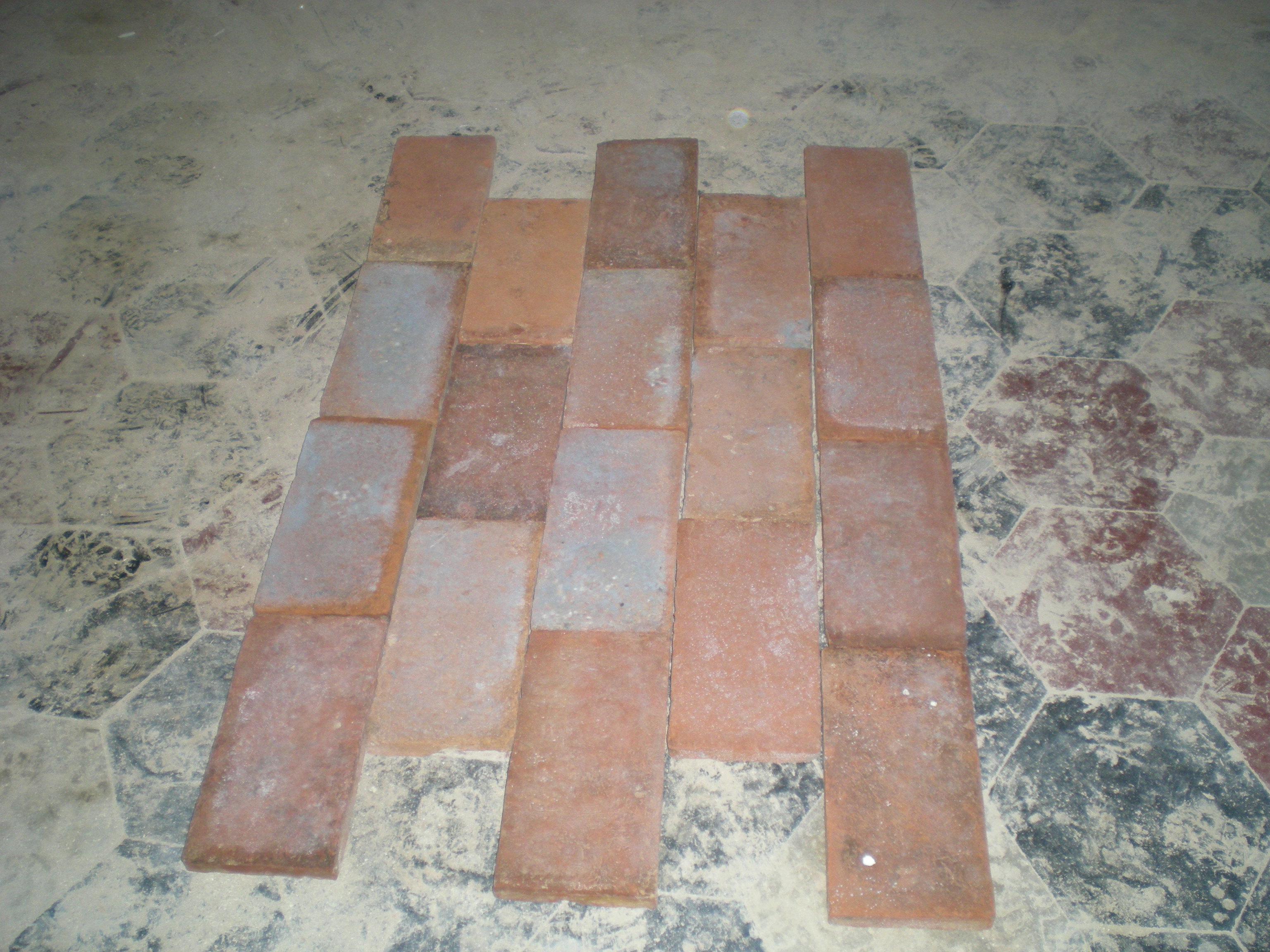 DSCN105