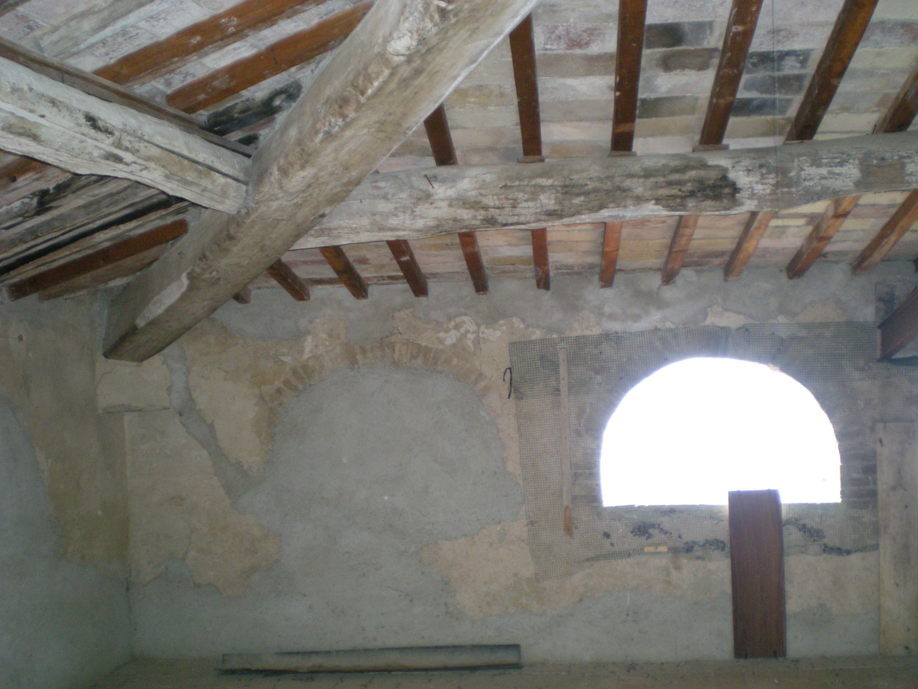 DSCN1402